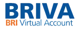 BRI Virtual Account